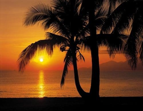 Фотообои "Закат, пальма, море" Komar