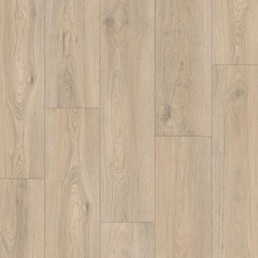 IMU 8467 Дуб кедровый