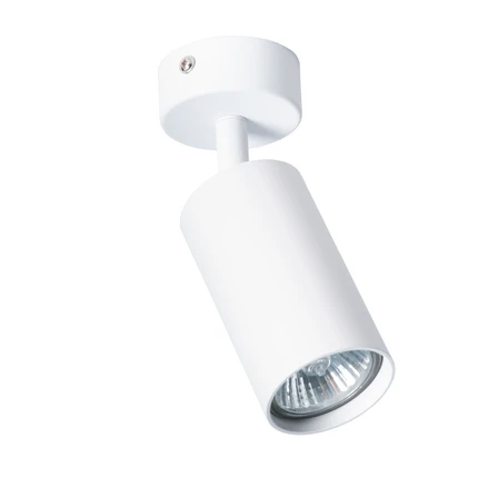 Спот Arte Lamp AQUARIUS A3216PL-1WH