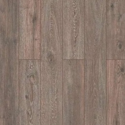 59837 Дуб Сурат