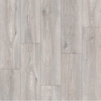 IMU 8471 Дуб северное сияние