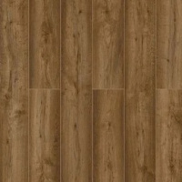 59757 Дуб Джапур