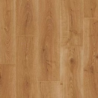 IM8629 Дуб закатный