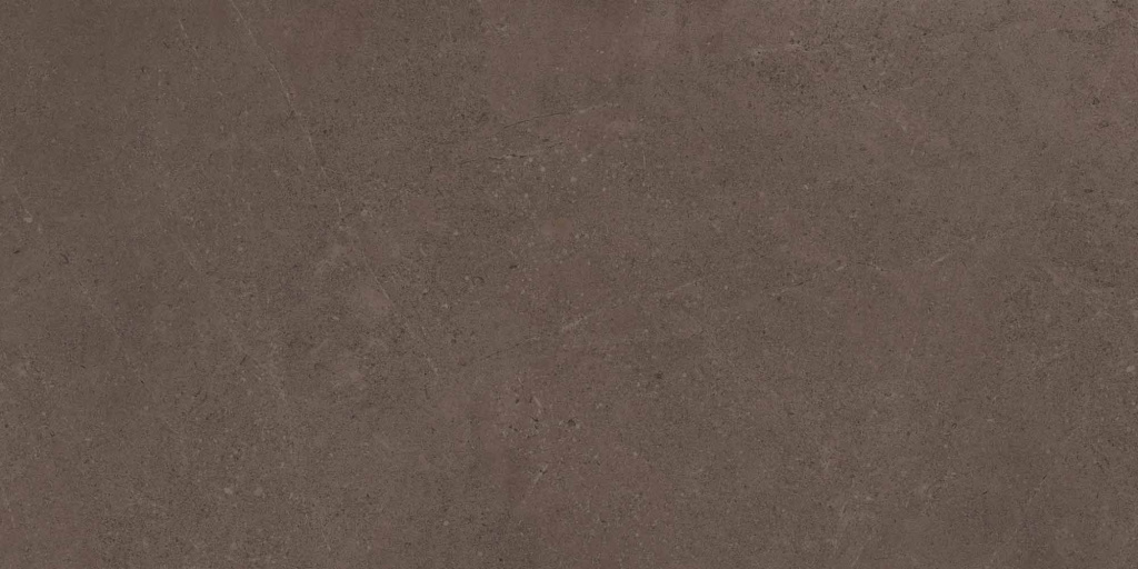 Керамогранит Gobi Brown Grey 600x1200 неполированный ректификат GO03