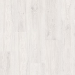 IMU 8465 Дуб зимний