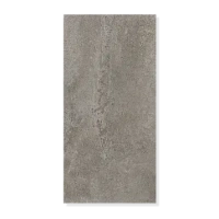 Панель стен SPC Альта Слэб Магия Бетона 30х60см (Полнолуние)