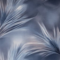SL72483-64