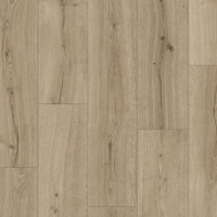 IM 8603 Дуб субтропический