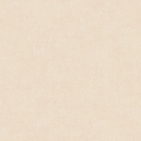 ARTS13 003/2