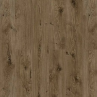 59807 Дуб Рапти