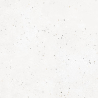 Керамогранит Гранелла (Granella) 600x600 белый G-40/MR
