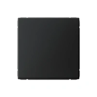 Выключатель одноклавишный Systeme Electric ARTGALLERY GAL001011