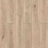 59747 Дуб Мумбаи