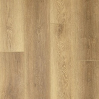 331 ХОУМСТАР