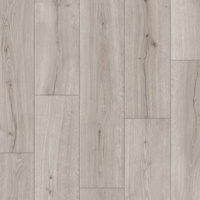 IM 8600 Дуб полярная звезда