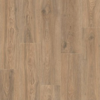 IMU 8466 Дуб скалистый