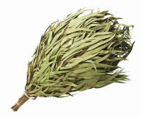 Веник эвкалиптовый в уп. Банные штучки