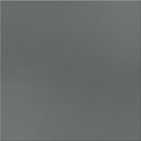 Керамогранит Грани Таганая 600x600 антрацит GT005MR