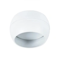 Точечный накладной светильник Arte Lamp GAMBO A5551PL-1WH