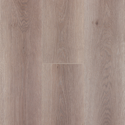 FP305 ДУБ ОАЗИС