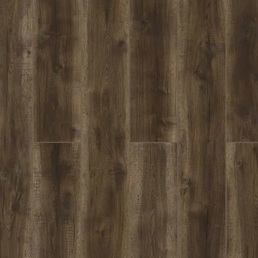 59777 Дуб Мумбаи