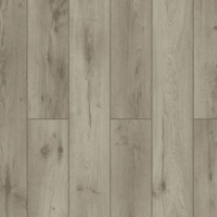 59787 Дуб Годавари