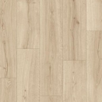 IM 8602 Дуб песчаный берег