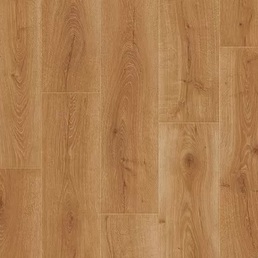 IMU 8629 Дуб закатный