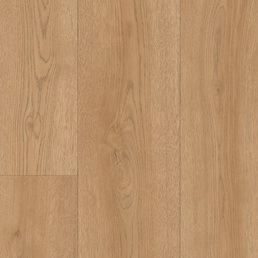 736 Дуб Медовый вечер