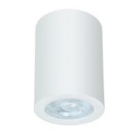 Точечный накладной светильник Arte Lamp TINO A1468PL-1WH