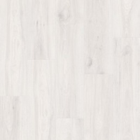 IM8465 Дуб зимний