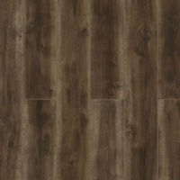 59777 Дуб Мумбаи