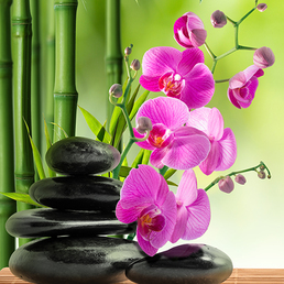 С-393 Дзен С-393 Дзен