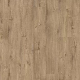 PUGP 40093 Дуб охра PUGP 40093 Дуб охра