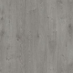 911 Дуб Эльбрус 911 Дуб Эльбрус