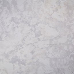 PL72567-41 PL72567-41