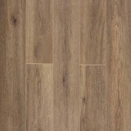 FP582 Дуб Престон FP582 Дуб Престон