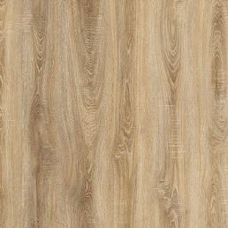 ДУБ ЭРЗИ ДУБ ЭРЗИ