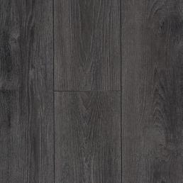 LM20 Сосна Мессина LM20 Сосна Мессина